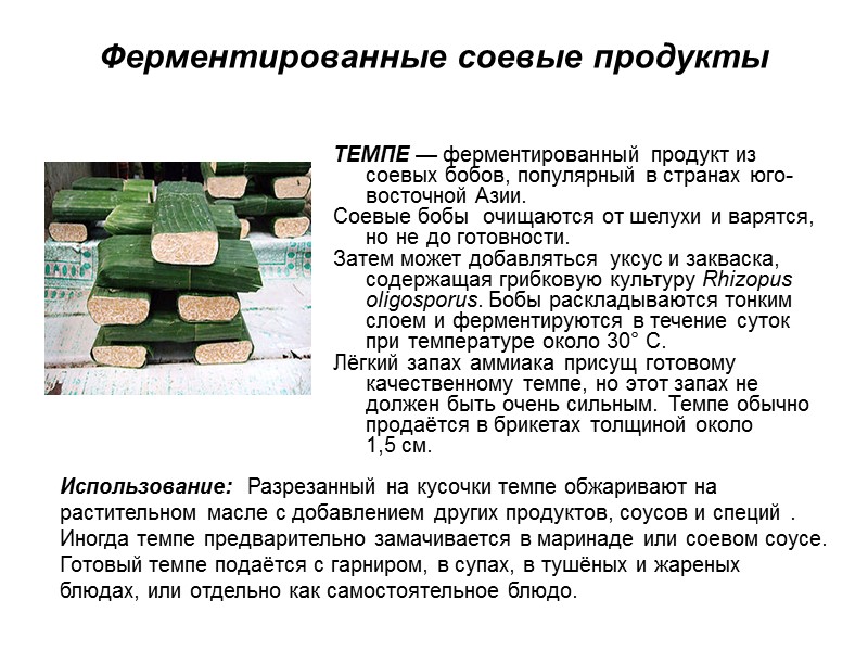 Ферментированные соевые продукты ТЕМПЕ — ферментированный продукт из соевых бобов, популярный в странах юго-восточной